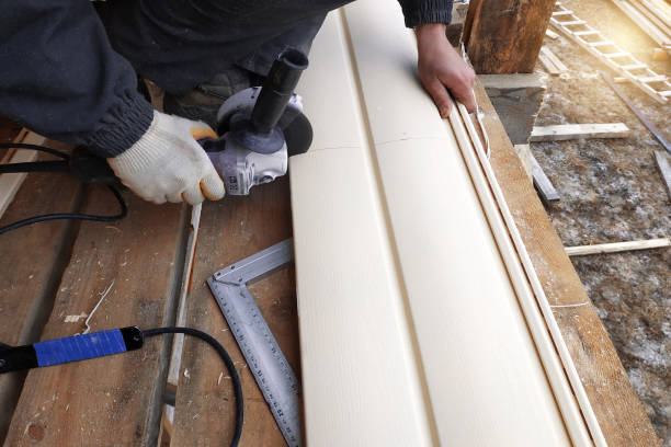 Best Siding Removal and Disposal  in Frankl, IN
